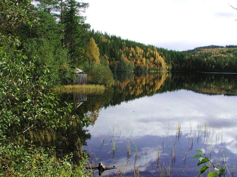 2003 Ytre Damtjonn_6.jpg - Høsstemning en godværsdag i elgjakta